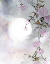 回眸誰淺笑 回眸誰淺笑