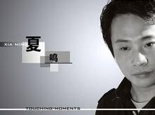 夢婆的碗 夢婆的碗