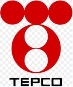 日本東京電力公司