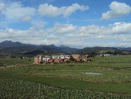 雙溪鄉貝溪村舜溪香芋農民專業合作社 雙溪鄉貝溪村舜溪香芋農民專業合作社