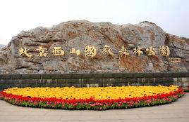 北京西郊公園 北京西郊公園