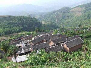 老衛寨村 老衛寨村