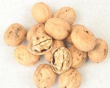 黃龍[陝西省延安市縣名]