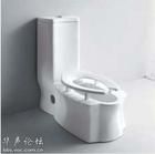 蹲坐兩用衛生馬桶 蹲坐兩用衛生馬桶