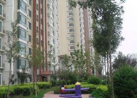 中天匯麗華城 中天匯麗華城