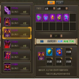 龍將天賦石 龍將天賦石