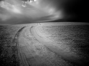 馬靜坡黑白紅外風光：不一樣的大漠胡楊