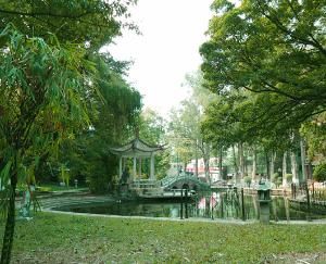 中國人民解放軍第四二一醫院腦科中心