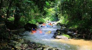 大王嶺漂流 大王嶺漂流
