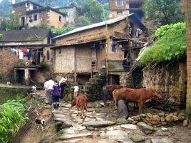 芭新寨村 芭新寨村