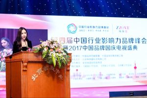 張馨月參加第四屆中國行業影響力品牌峰會