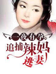 一夜有孕:追捕辣媽逃妻 一夜有孕:追捕辣媽逃妻