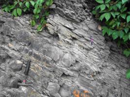 長龍山組 長龍山組