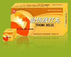 治傷跌打丸 治傷跌打丸