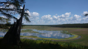 阿拉斯地形 阿拉斯地形