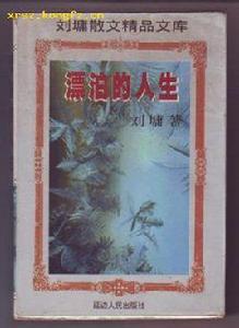 漂泊的人生 漂泊的人生