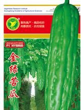 金綠苦瓜 金綠苦瓜
