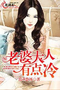 老婆大人有點冷[網路小說]