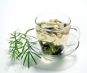 竹葉清心茶 竹葉清心茶