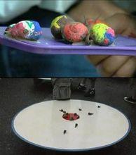 蝸牛賽跑錦標賽