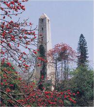 越秀公園[廣州市旅遊景點]