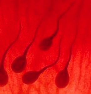 射精出血 射精出血