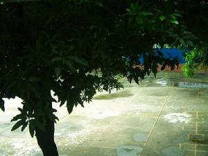 漳州薌城實驗國小 漳州薌城實驗國小