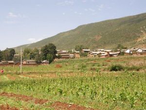 回子營村 回子營村