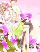 至上檸檬雨Ⅰ 至上檸檬雨Ⅰ