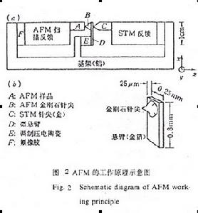 （圖）原子探針