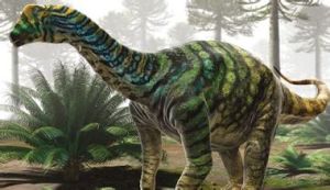 蜥腳次亞目 蜥腳次亞目