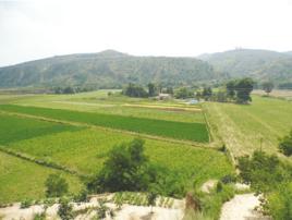 城關鎮[甘肅省鎮原縣城關鎮]