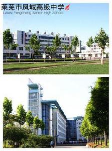 萊蕪市萊城區鳳城高級中學 萊蕪市萊城區鳳城高級中學