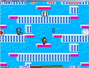 泰迪男孩布魯斯 泰迪男孩布魯斯