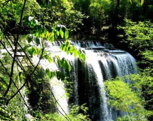 福寶國家森林公園 福寶國家森林公園
