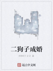 二狗子成婚 二狗子成婚