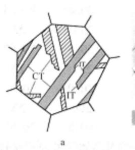 退火孿晶 退火孿晶