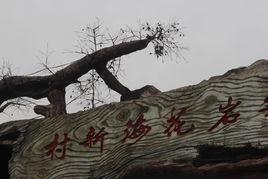 米岩花海 米岩花海