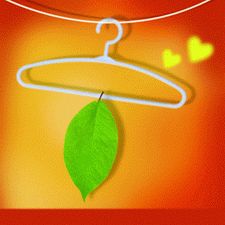 綠色會計 綠色會計