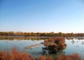 白爾地湖生態旅遊區