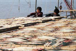 水攻乾殺 水攻乾殺