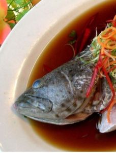 清蒸石斑魚 清蒸石斑魚