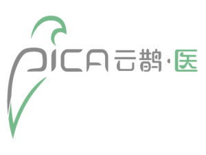 雲鵲醫療科技(上海)有限公司 雲鵲醫療科技(上海)有限公司