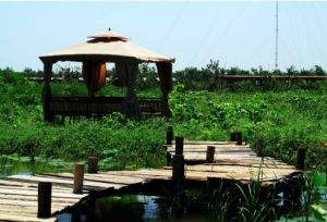 天津東淀生態農莊 天津東淀生態農莊