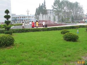 信陽農業高等專科學校