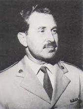 哈伊姆·赫爾佐格