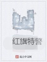 紅旗特警 紅旗特警
