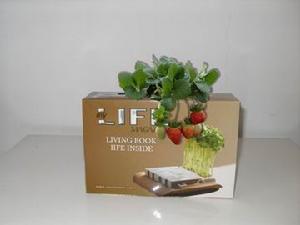 （圖）長出瓜果的書-瓜果書