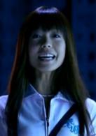 追愛[高亞麟執導電影]