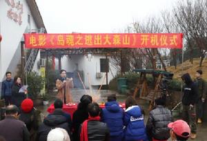 島魂之逃出大森山 島魂之逃出大森山